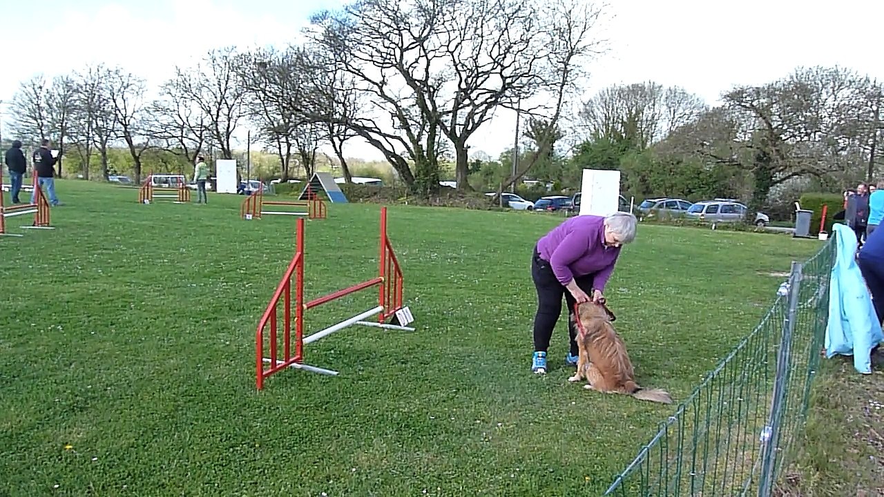 JUMPING Chantal VALOGNES 1er avril 2017