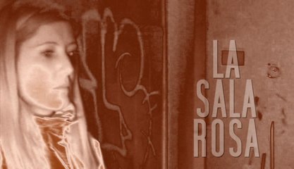 DESDE EL OTRO LADO 0.5 (LA SALA ROSA) (2017)