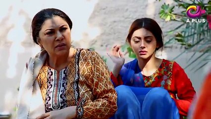 Ghari Do Ghari Episode 1 - 1st April 2017