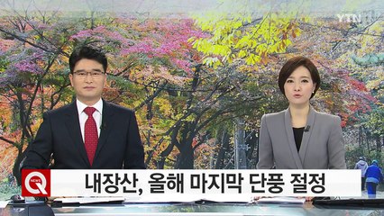 올해 마지막 단풍 절정...울굿불긋 내장산 / YTN (Yes! Top News)