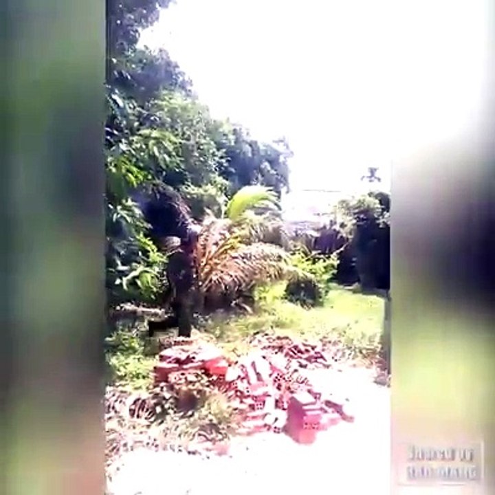 Thành Phố Mỹ Tho