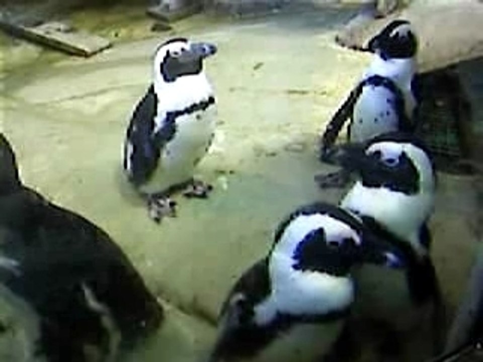 Le Tréport et Boulogne sur mer le 25 .09.07 106