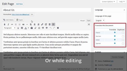 wpml-homepage-video-1024