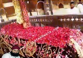 Ap Sa Jag Ma Nahi Koi Sani