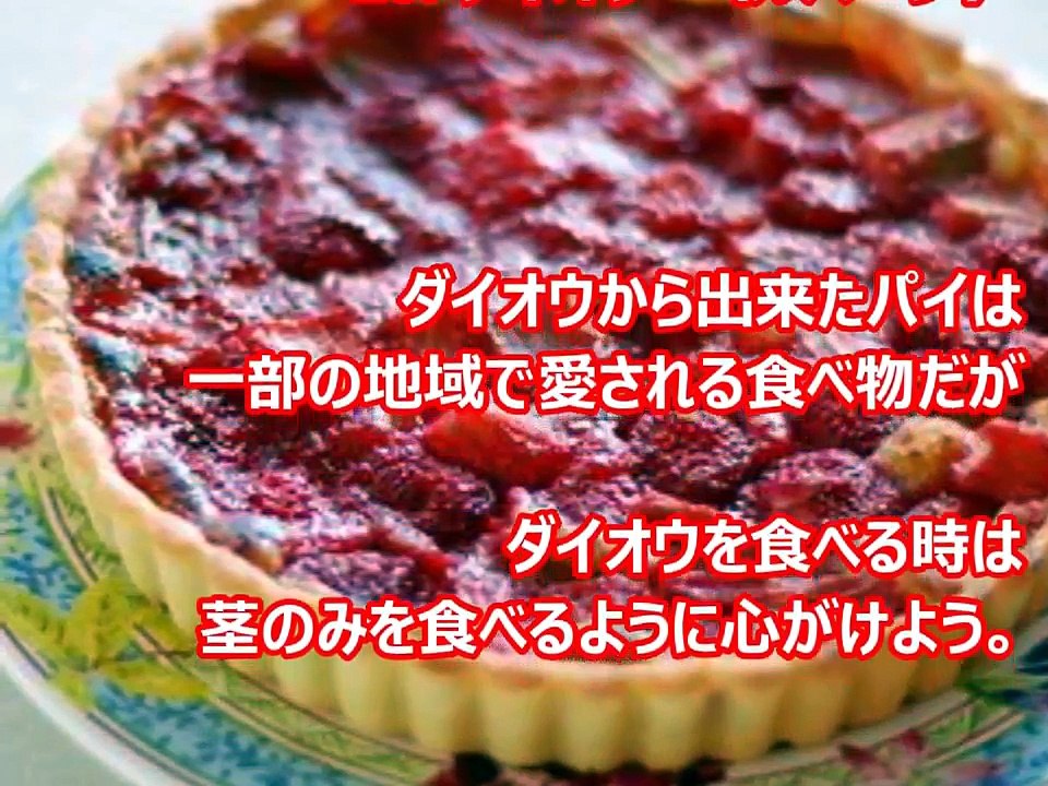 【衝撃】世界の危険すぎる食べ物　トップ10。【知ってよかった雑学】
