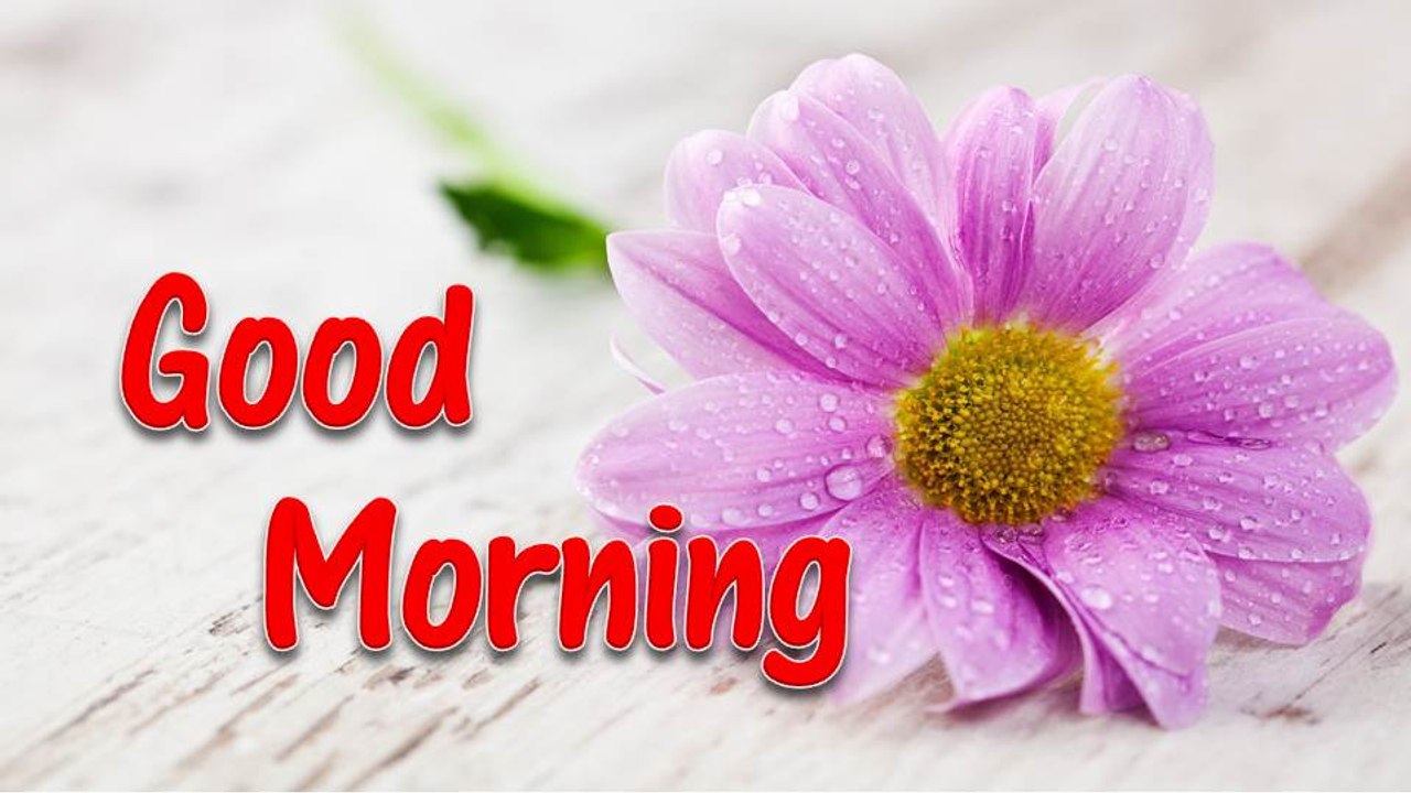 Good Morning Wishes | Good morning greetings | Best WhatsApp Morning Message