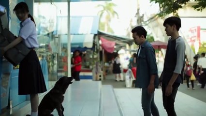 Try not to cry - A friend to stay with you forever