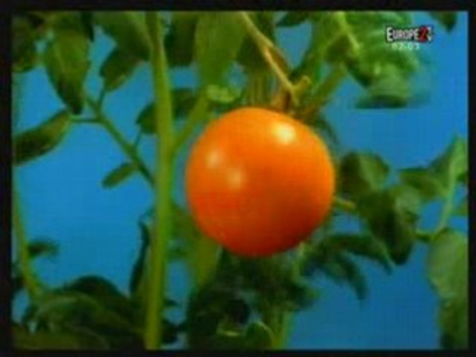 DAFT PUNK "révolution-909"