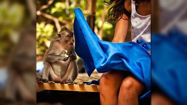 40 Perfectly Timed Photos Pictures Taken At Just The Right Moment