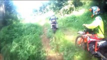 OMG!!!!! krypto creature was caught on bikers camera in jungle