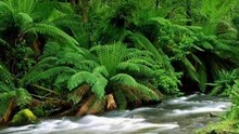 تلاوة رائعة لسورة الحجر ـ خالد الجليل Beautiful recitation surat Al hijr - Khalid aljalil