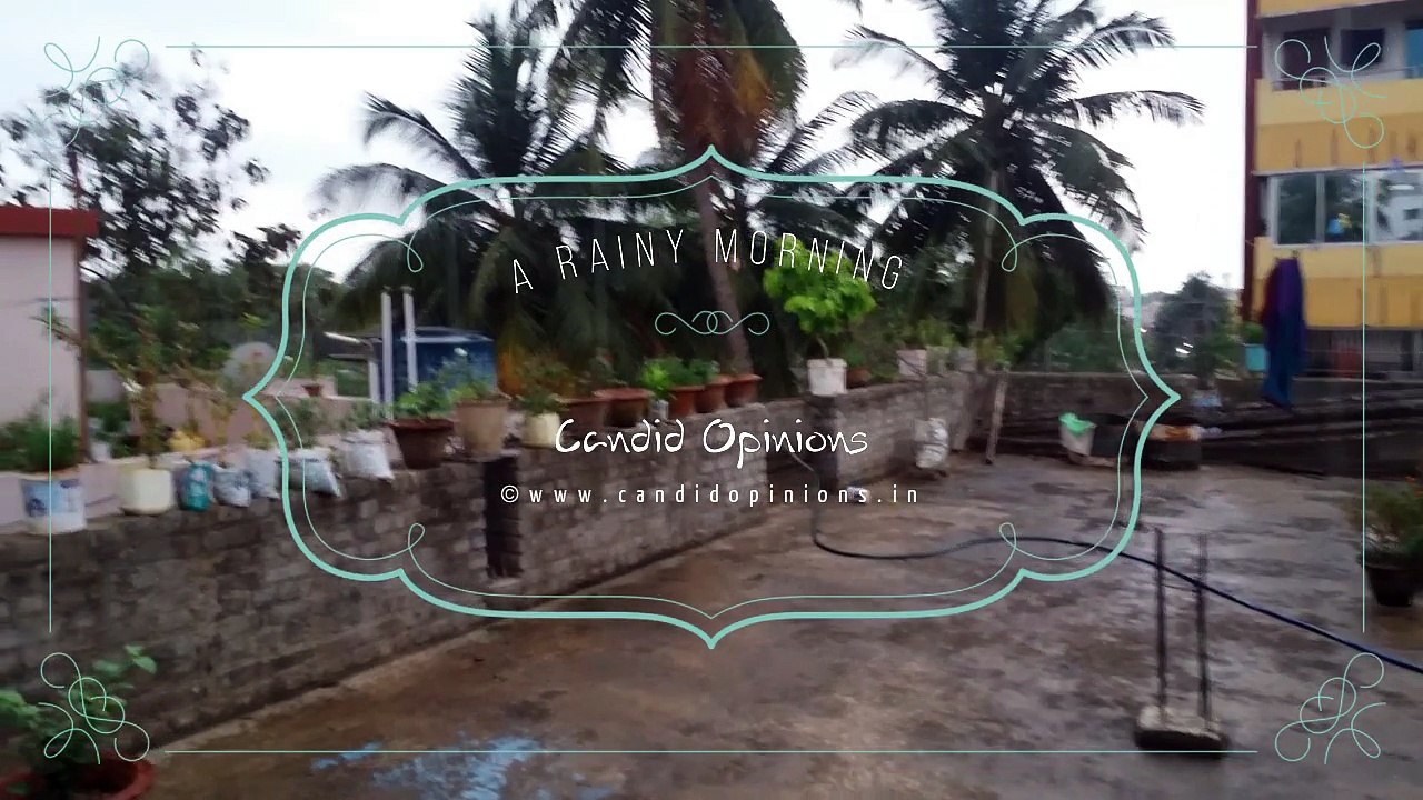 A Rainy Morning ...