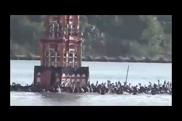 This Is True Azadari.. Masha Allah.