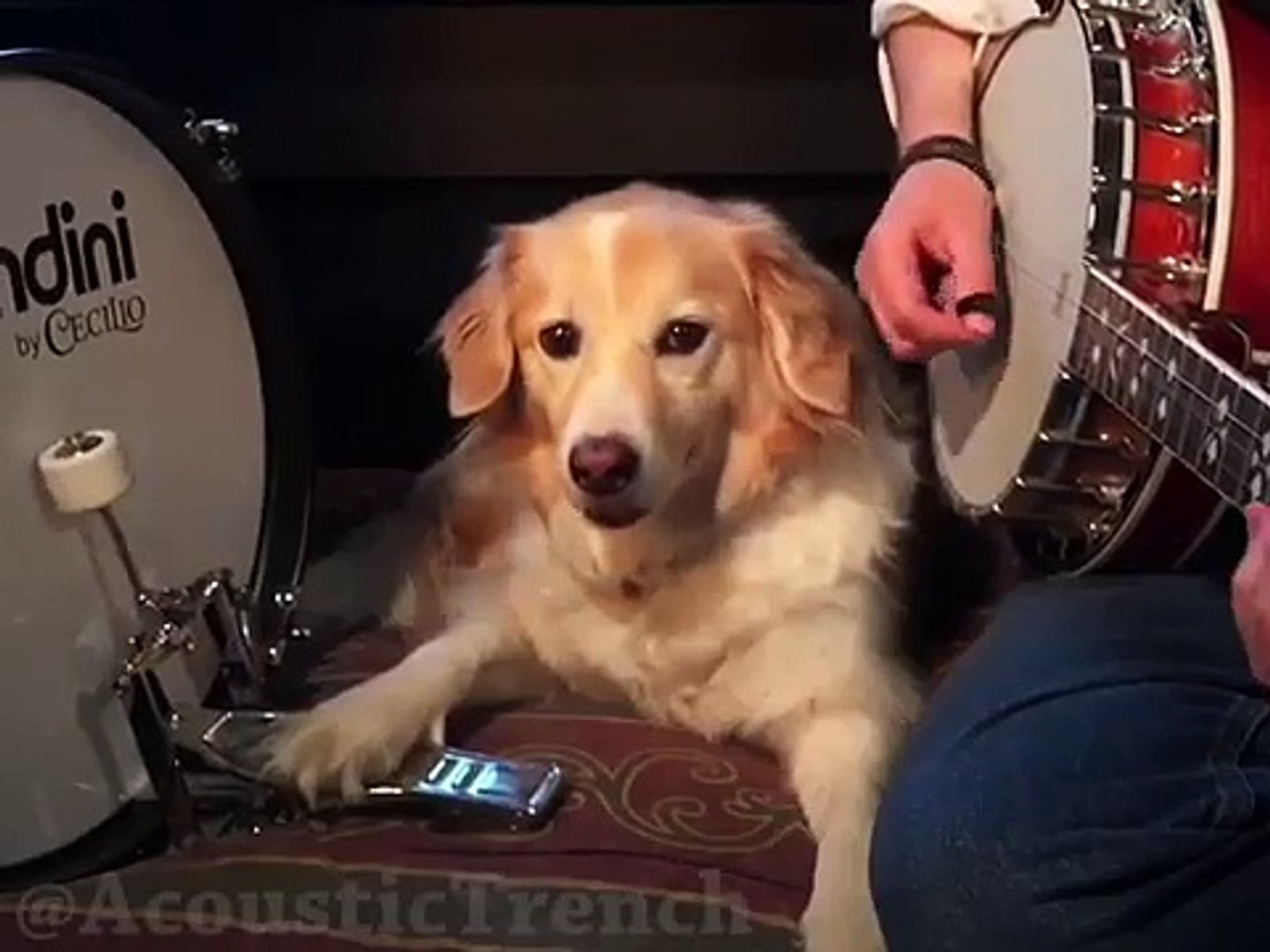 Happy St Patrick's Day everyone