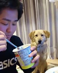 “When you want something but you're too proud to beg"