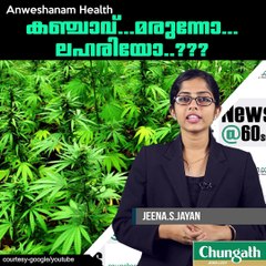 കഞ്ചാവ്...മരുന്നോ...ലഹരിയോ..??? #AnweshanamLife