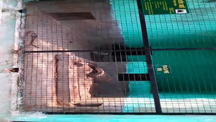 Tata Zoological Park