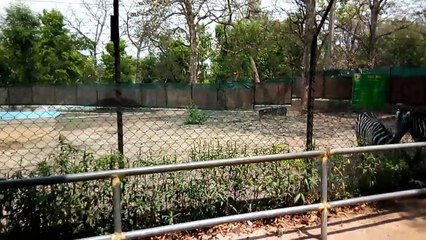 Tata Zoological Park2