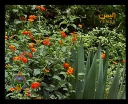 اغنية محلا هواك │ غناء الفنان ايوب طارش │ Ayoub |Tarash