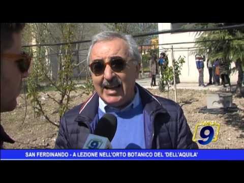 San Ferdinando | A lezione nell'orto botanico del Dell'Aquila