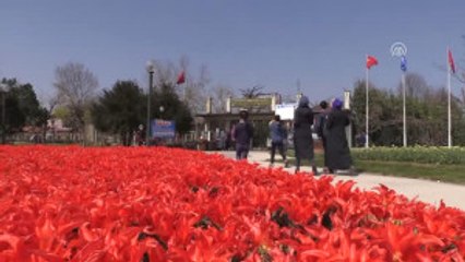 Bursa'da Çiçeklerle Renk Cümbüşü