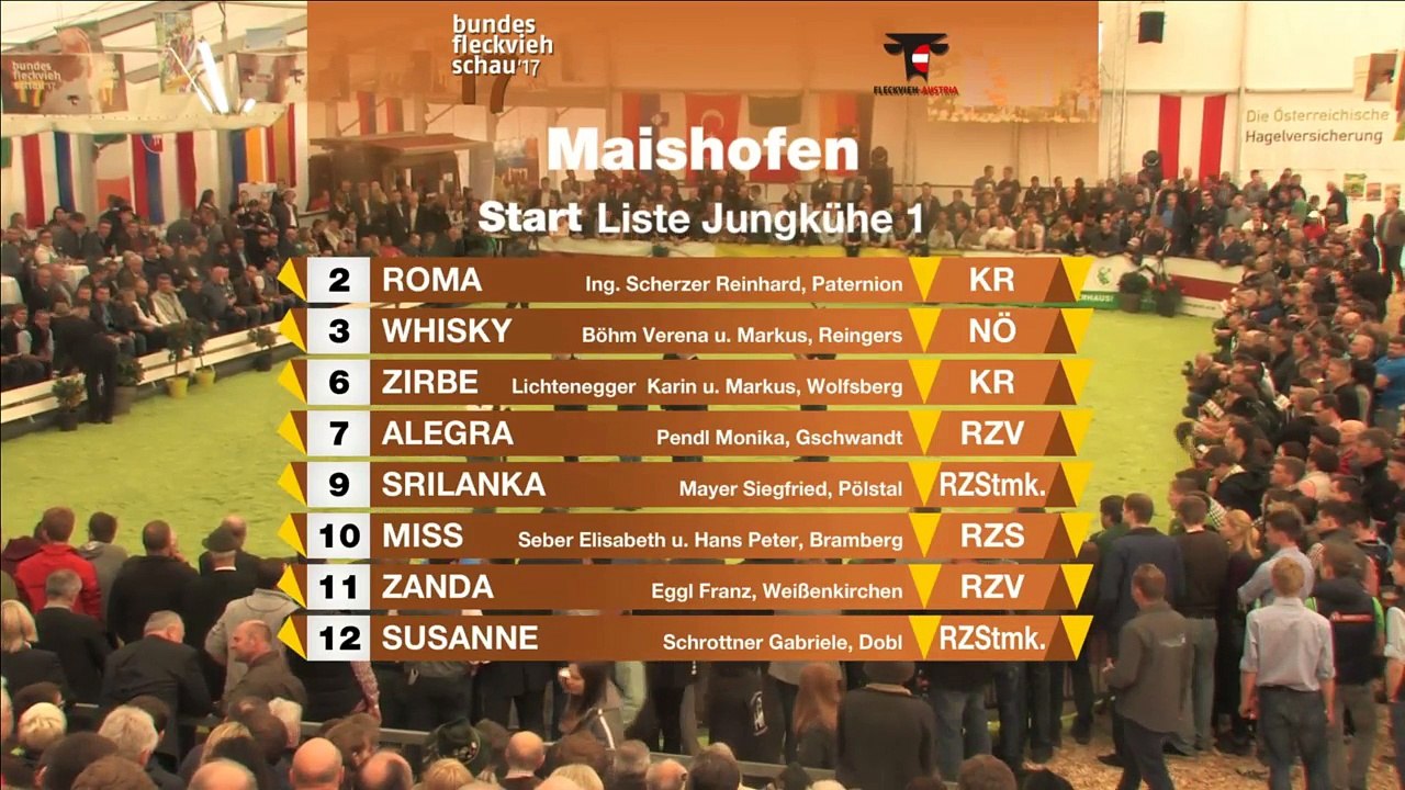 Fleckviehschau 2017 Relive Jungkühe 1