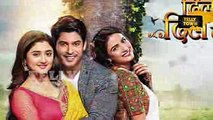 Dil Se Dil Tak - 2nd April 2017 - Upcoming Twist - Colors TV Serial News