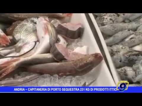 Andria | Capitaneria di porto, sequestrati 231 kg di pesce