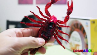 Innovation Scorpion and Giant Scolopendra Creepy Crawlers Toys-fJ4XcCS9PXA