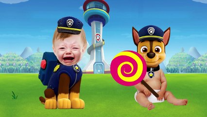 Bad Baby Crying-Paw Patrol and Lolipop-Learn Colors Body Painting Finger Family Song Collection
