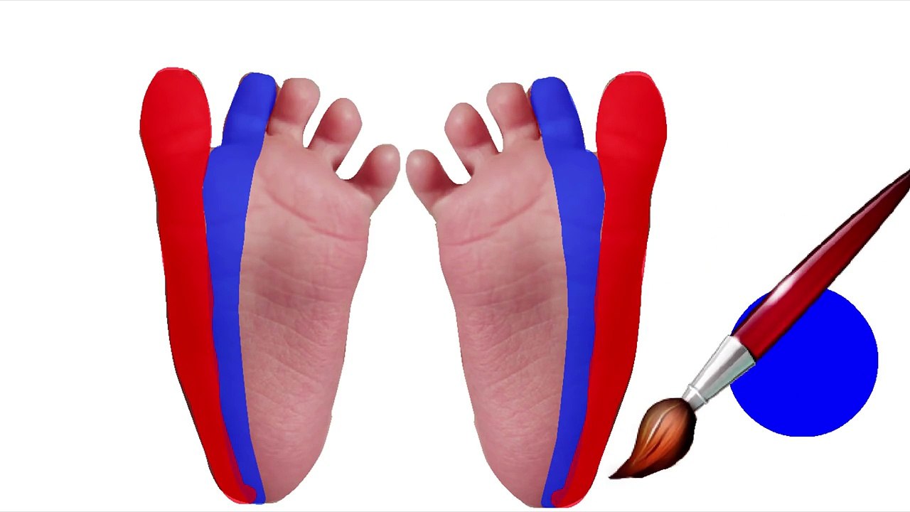 Bad Baby Learn Colors-Feet Body Paint Finger Family Song Nursery Rhymes Learning Video