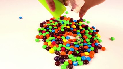 Tubes with multi-colored candy masha and the bear Finger Family Learning colors