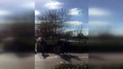 Beyoğlu'nda Halı Saha Ağlarına Takılan Karga, Böyle Kurtarıldı