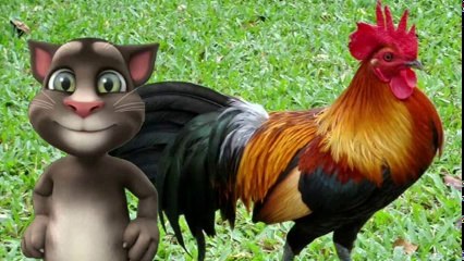 Horozumu Kaçırdılar Çocuk Şarkısı
