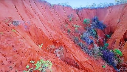 JORNAL HOJE DESTAQUES 04-01-2017 - TV Globo