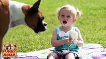 Comer con perros tan gracioso Perrito ama bebé compilación