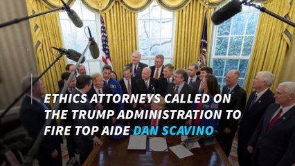 Trump aide accused of Hatch Act Violation over threatening tweet