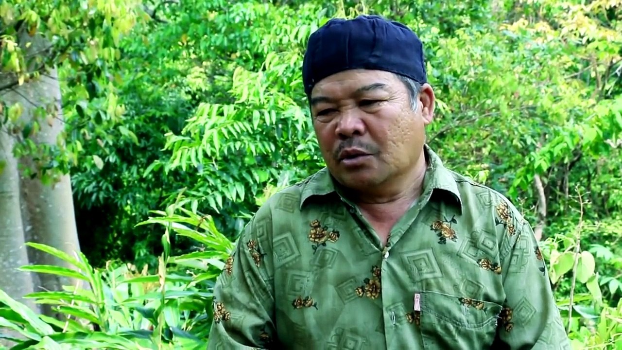 Koos Loos Noj Hmoov. 14