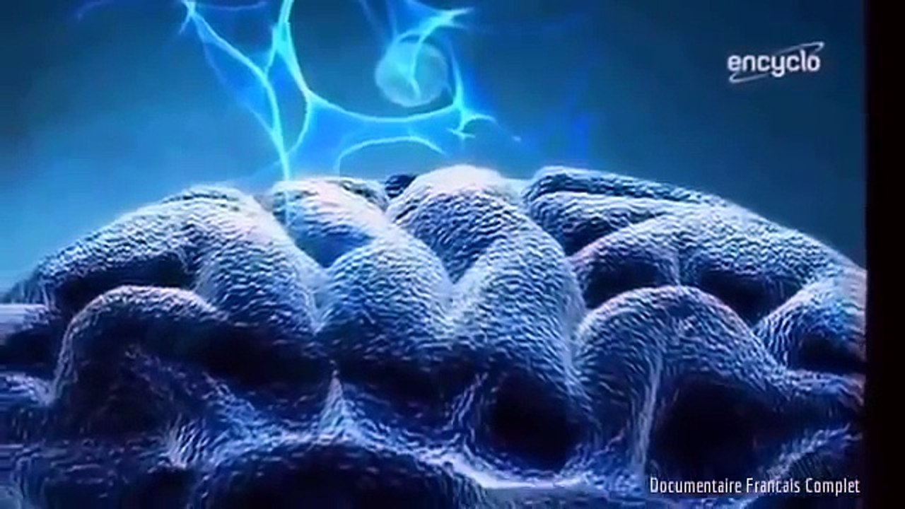 Documentaire National Geographic Francais | Dans les secrets des scientifiques french - Do part 1/2