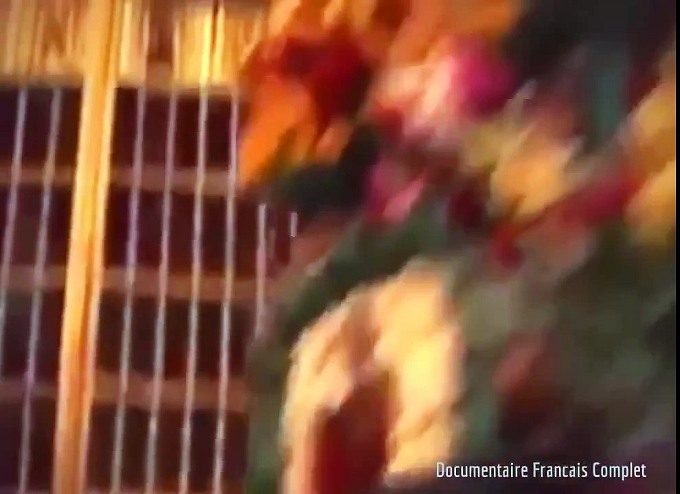 National Geographic|De nouvelles découvertes sur Machu Picchu- Documentaire Francais 2015 part 2/2