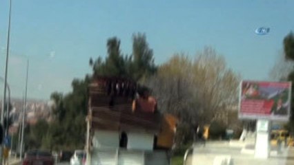 Kamyon Kasasında Tehlikeli Yolculuk