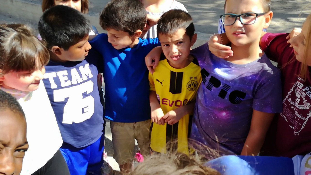 cooperativo 3º