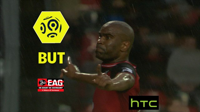 But Sloan PRIVAT (59ème) / EA Guingamp - AS Nancy Lorraine - (1-0) - (EAG-ASNL) / 2016-17