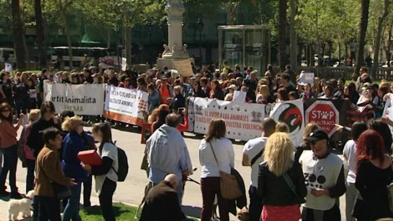 Protesta en Barcelona en defensa de los derechos de los animales