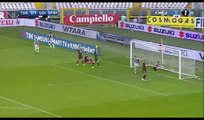 All Goals & Highlights HD - Torino 2-2 Udinese - 02.04.2017