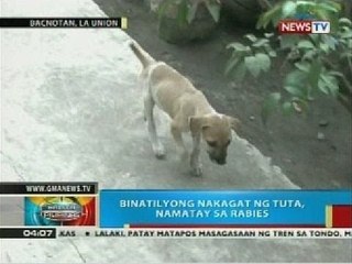 BP: Binatilyong nakagat ng tuta sa La Union, namatay sa rabies