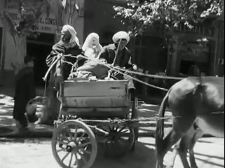 DOC Algérie coloniale 1949 : Minarets dans le soleil