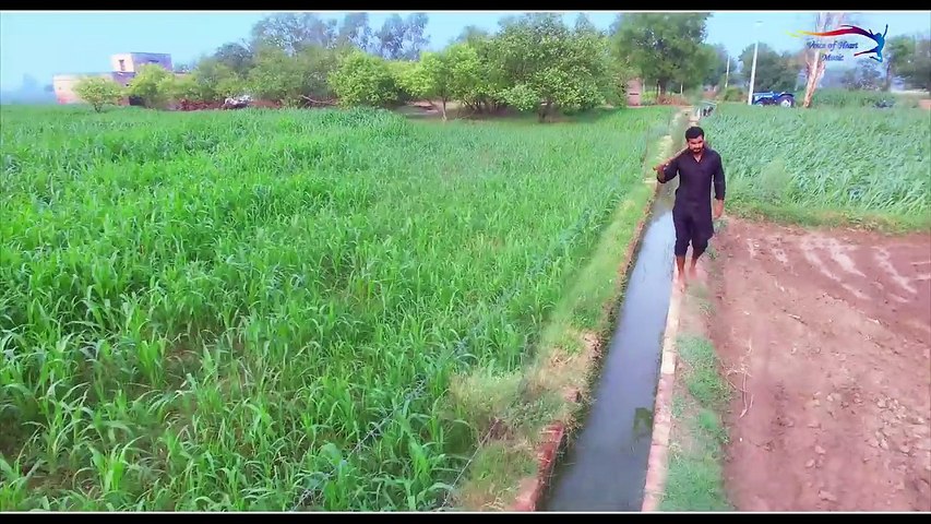 LALA JI KI CHORI | New Haryanvi Hot Song HD Video 2016 | Haryanvi Songs Haryanavi