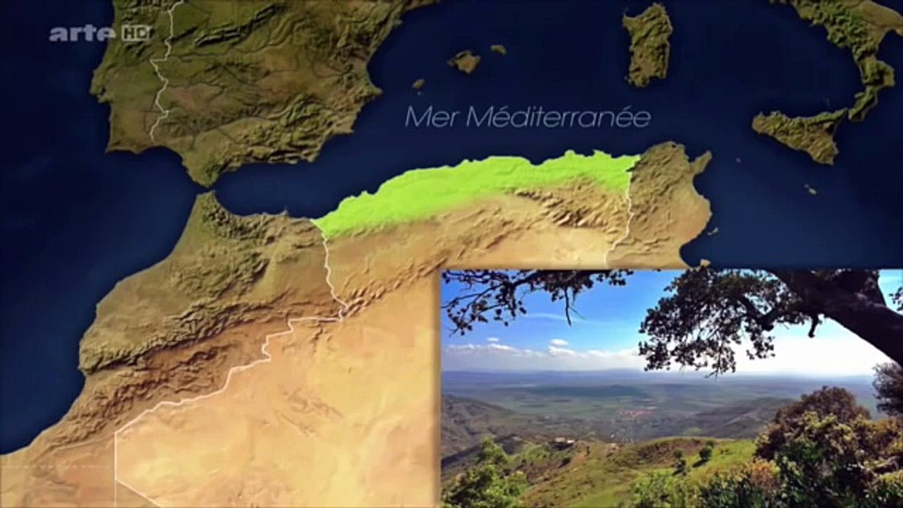 DOC Algérie 2016 - l'Algérie dans l'impasse