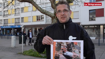 Lorient. "269 Life" dénonce l'exploitation et la consommation des animaux aquatiques